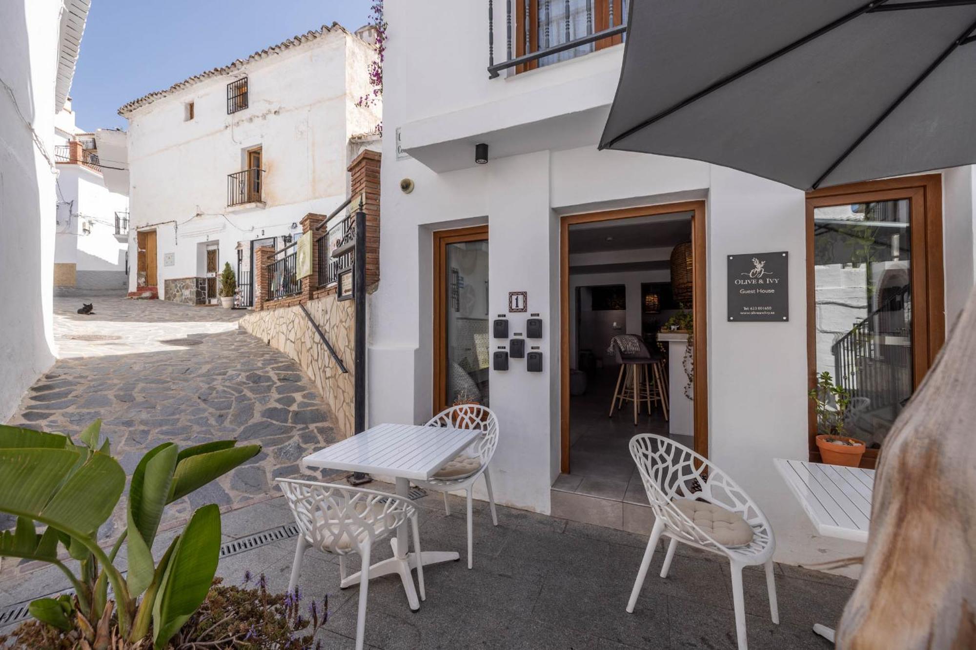 Bed & Breakfast Olive & Ivy