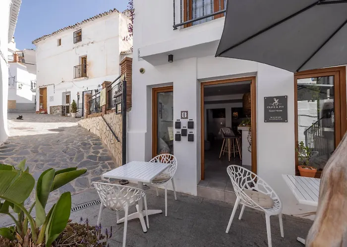 Olive & Ivy Guesthouse