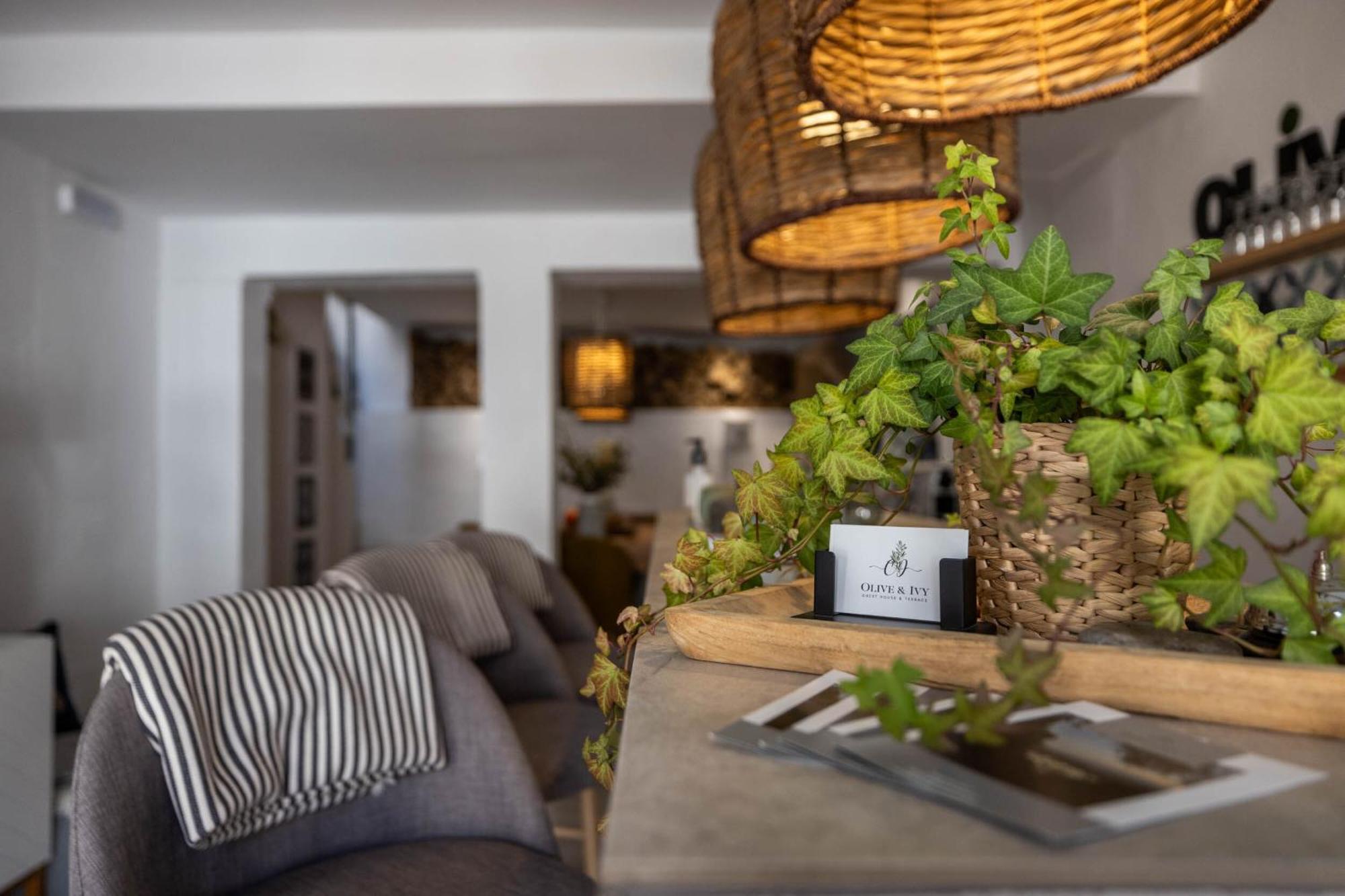 Bed & Breakfast Olive & Ivy 4*
